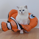美感的猫