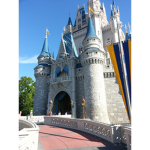 Disney world Boss