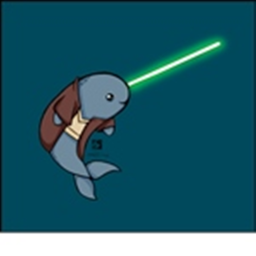 Narwhal Adventures