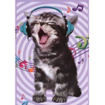 💎I luv kittens XD💎
