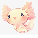 hydra axolotl club