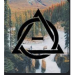 Best Therian team