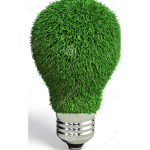 Grass bulb group forever