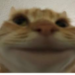 concørdiamque