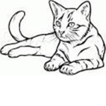 Cat_Fan_Group