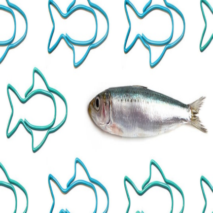 sardine paperclips Roblox decal