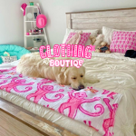 Clothing Boutique-!