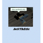 Vdsty