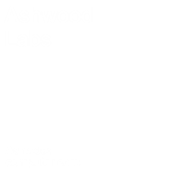 Ashwood 컴퓨터 코어 리메이크 (얼리 액세스)