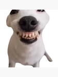FigmentImagination