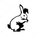 The Rabbit Runhouse!