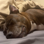 eliza said so