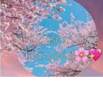 Cherry blossom hang out!