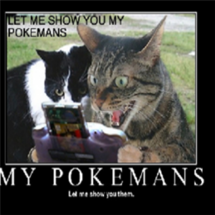 lol the kitty is playing a game Roblox decal
