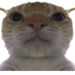 Smoky's Meme Group