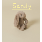 -Sandys Group-