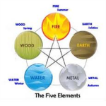 The Element Force (EF)