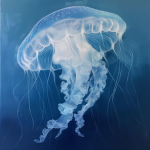 melly's jellyfishes