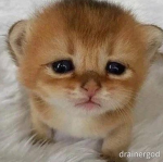 donation my friend ded plz donate