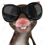 rat world lol-