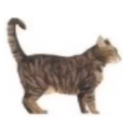 Images/funny cat 2 Roblox decal