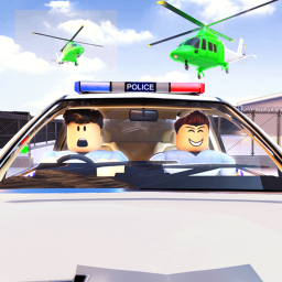 Police Force Rank Check
