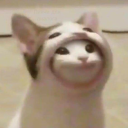 Raise a popcat