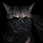 Sicko Fear