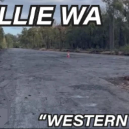 Collie Western 5 icon