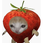 The NyahPlayz strawberry info