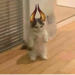 Kqzan
