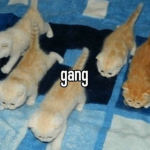 I give robux to fends