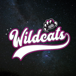 Wildcats Gymnasts