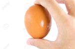 YE OLD EGG CULT