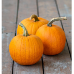 Te Pumpkins