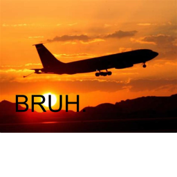 Bruh Flight Simulator