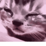 Mastermode1231