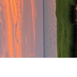 Rrre