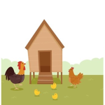 Chicken Coop Studios