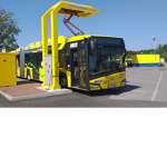 Polish Bus driver