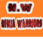 The Ninja Warriors (NW)