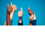 Les ami pour la vie