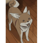 Winged Shiba