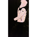 YTS/YTK