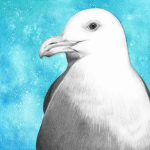 Secret Seagull Service