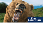 bear approval