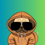 PugFace Studios