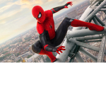 The Spider-Web
