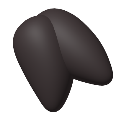 Black Hair Tuft Roblox item