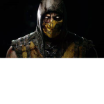 Scorpion Team PL